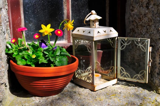 Flowers Window Lantern Spring Plants