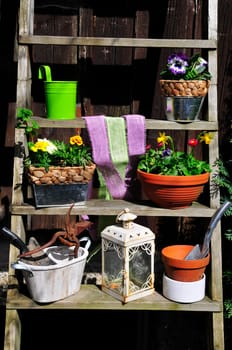 Garden Decoration Flowers Hut Spring Plants Stairs