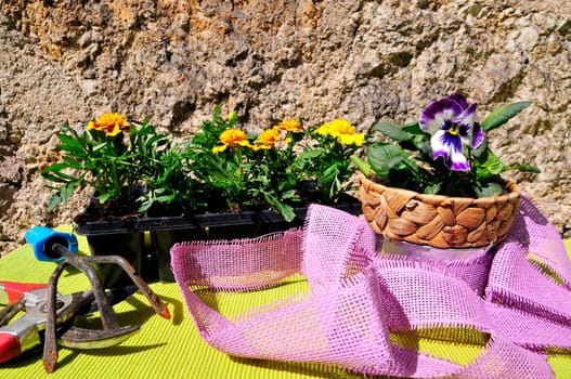 Garden Decoration Easter Spring Plants