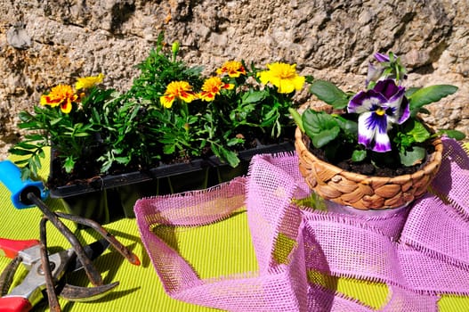 Garden Decoration Easter Spring Plants