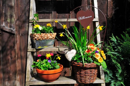 Garden Decoration Flowers Hut Spring Plants Stairs