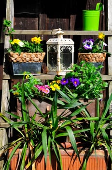 Garden Decoration Easter Spring Plants