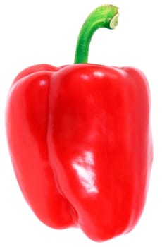 Red pepper with white background