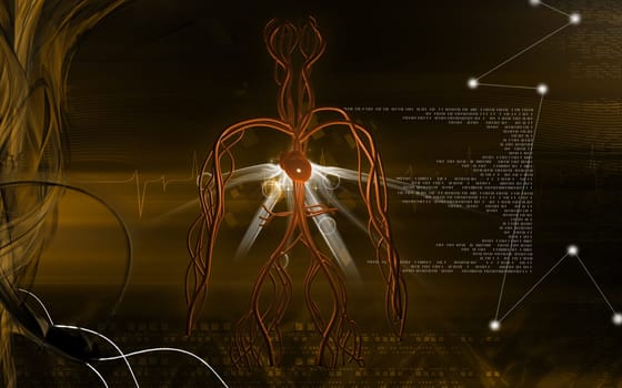 Digital illustration of vascular system in colour background