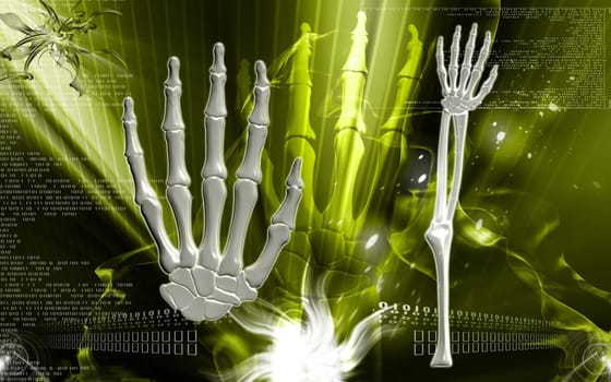 Digital illustration of hand bone in colour background