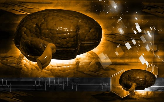 Digital illustration of brain in colour background