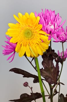 bunch of yellow and pink spring flowers