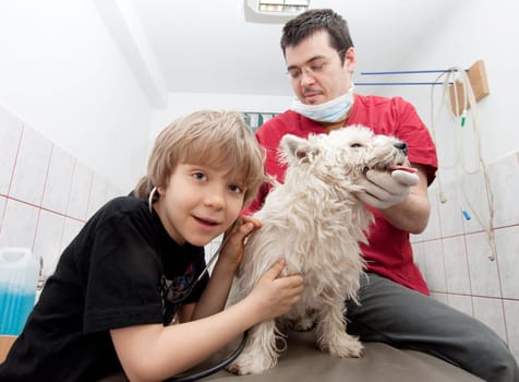 Little boy at vet with his dog