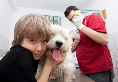 Little boy at vet with his dog