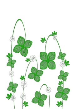 Shamrocks