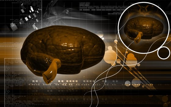 Digital illustration of brain in colour background