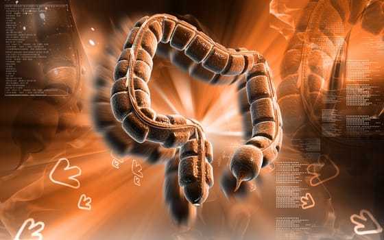Digital illustration of large intestine in colour background