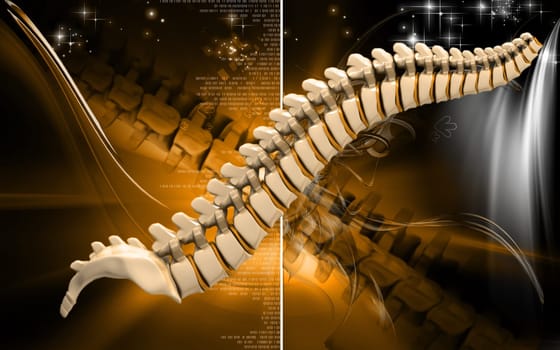 Digital illustration of back bone in colour background