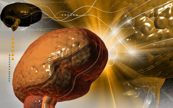 Digital illustration of brain in colour background