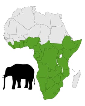 African Elephant Spread