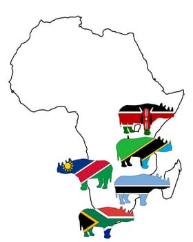 Black Rhinoceros Africa