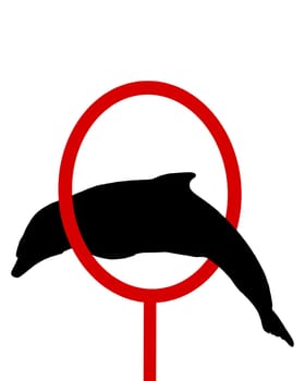 Dolphins Silhouette