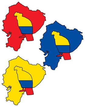 Andean Condor Ecuador
