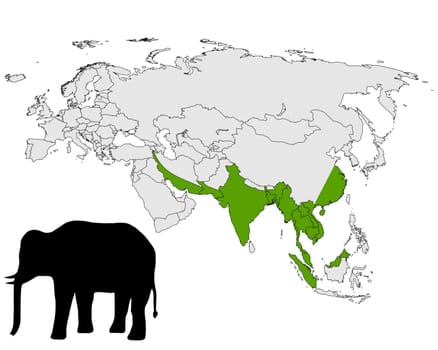 Asian Elephant Distribution