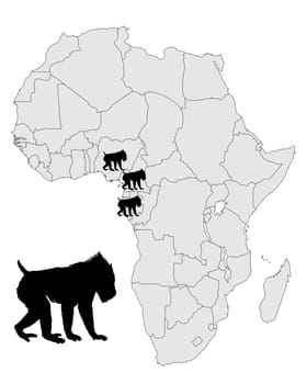 Mandrill distribution map