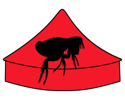 Flea Circus