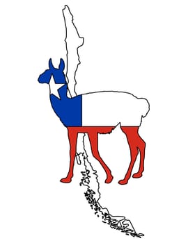 Guanaco Chile