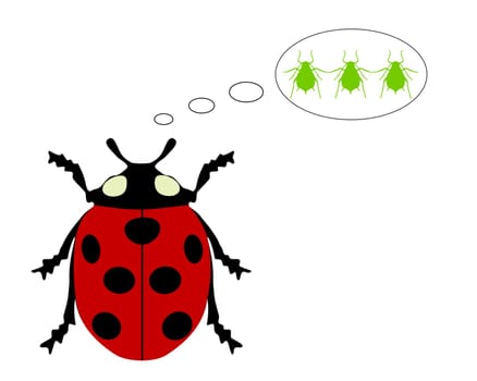 Ladybug Food
