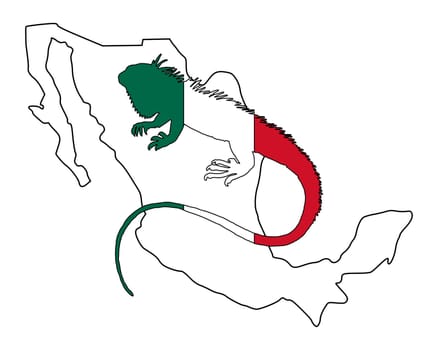 Iguana Mexico