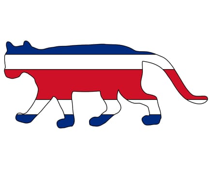 Puma Costa Rica