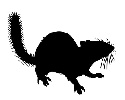 Chipmunk silhouette