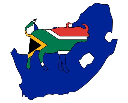 South Africa Buffalo