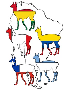 Guanaco South America