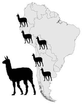 Llama Spread