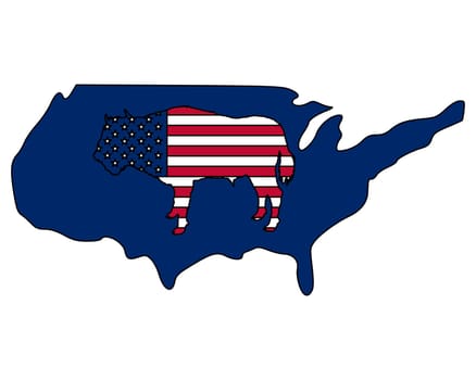 Buffalo