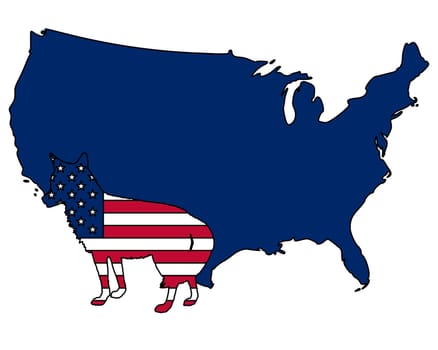 Coyote USA