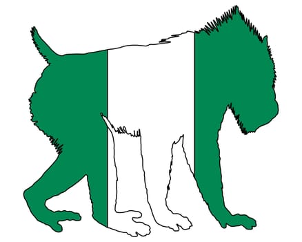 Mandrill Nigeria