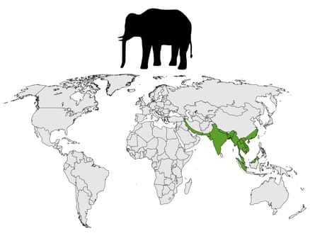 Asian Elephant Distribution