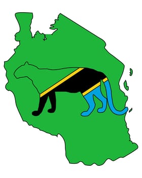 Tanzania Leopard