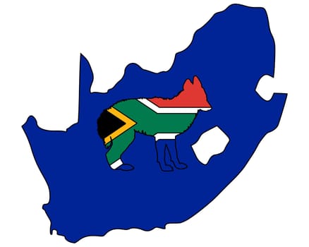 Jackal from South Africa