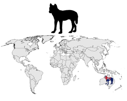 Dingo Distribution
