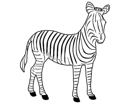 Zebra Stripes