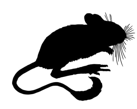 Jumping Mouse Silhouette