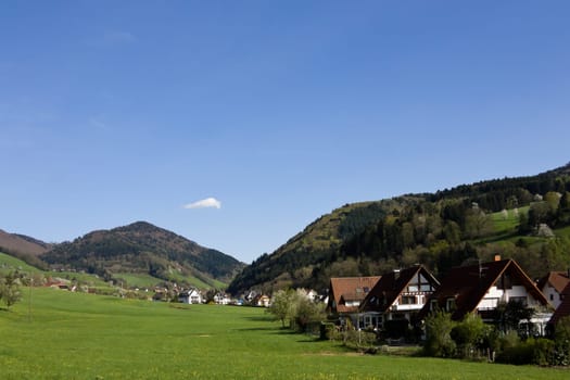 Black Forest Meadows