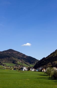 Black Forest Meadows,Glottertal