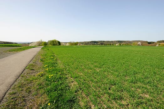 Frühlingssacker