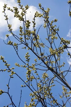 Spring is here