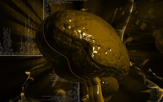 Digital illustration of brain in colour background