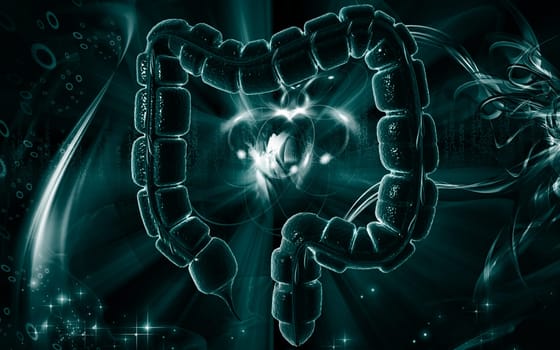 Digital illustration of large intestine in colour background