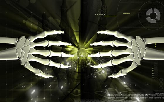 Digital illustration of hand bone in colour background