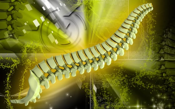 Digital illustration of back bone in colour background
